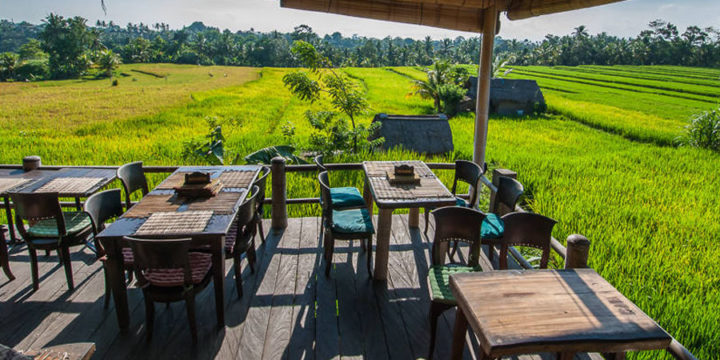Ubud and Vulcano with Lunch Full Day Tour